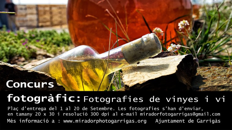 Cartell concurs vinyes i vi 2017.jpg