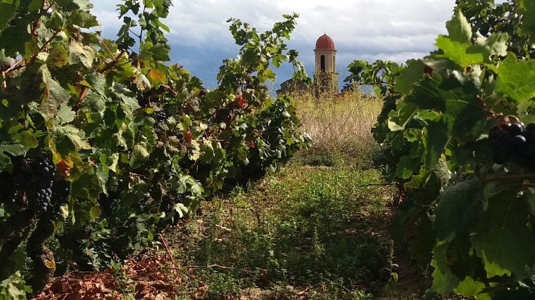 Josep Laporta Guisset-1